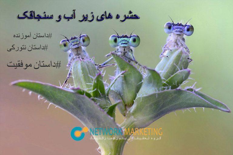 داستان سنجاقک و حشره های زیر آب