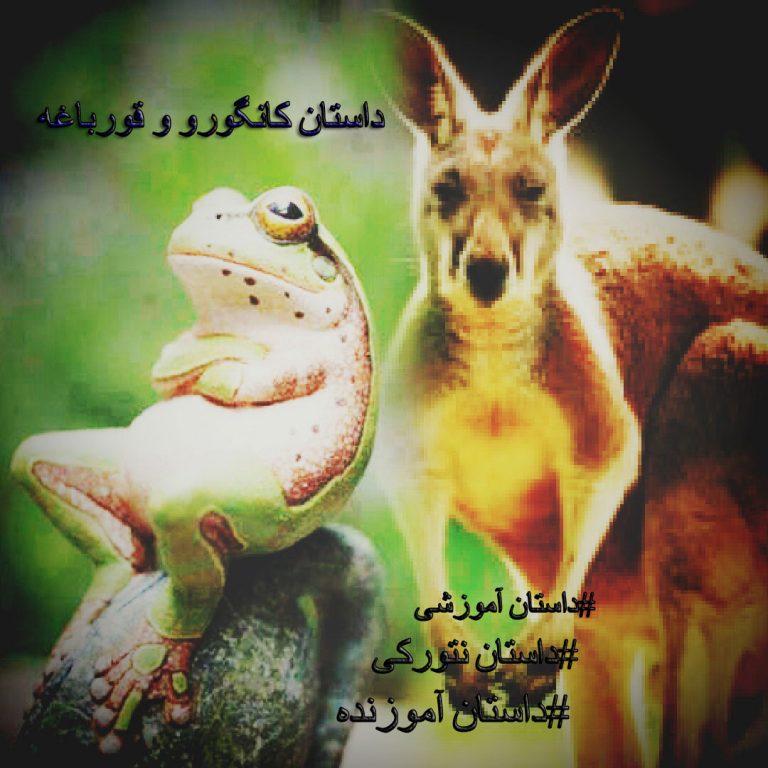 داستان ازدواج قورباغه و کانگورو