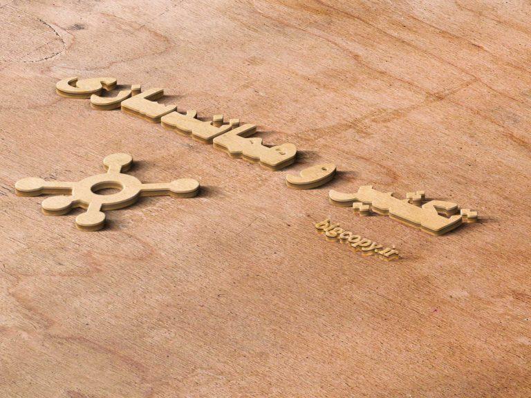 تکثیر و همانند سازی