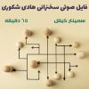 فایل صوتی سخنرانی هادی شکوری | سمینار کیش + 65 دقیقه