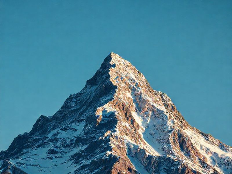 راهکارهای موفقیت در نتورک مارکتینگ