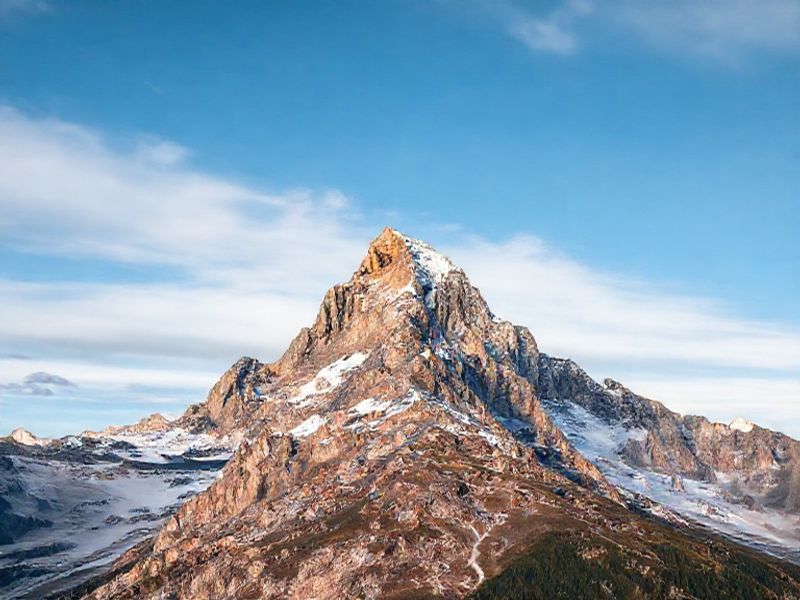 بررسی داستان موفقیت شرکتهای بزرگ بازاریابی شبکهای