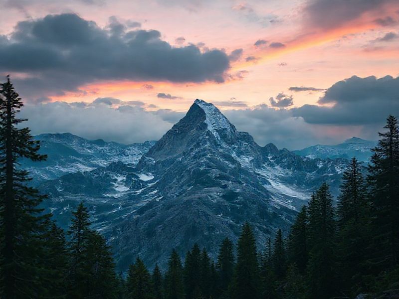 راهکارهای موفقیت در نتورک مارکتینگ